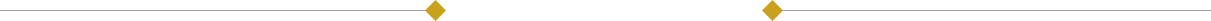 罗杰杜彼维修服务中心